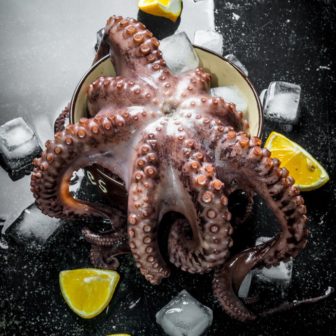 whole octopus 