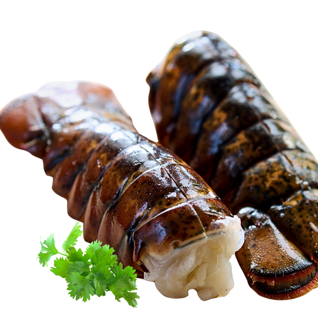 Canadian Lobster Tails. 2/3oz each, 2 pack