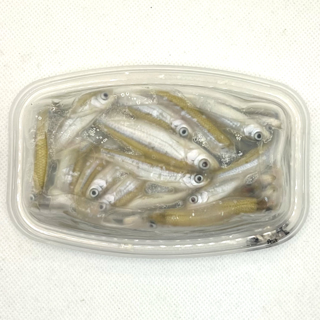 lake country tub minnows frozen unsalted 115 grams