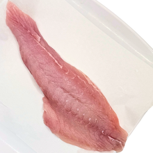 snapper fillet fresh 