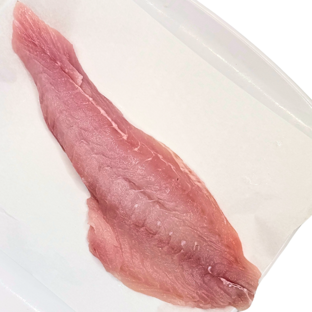 snapper fillet fresh 