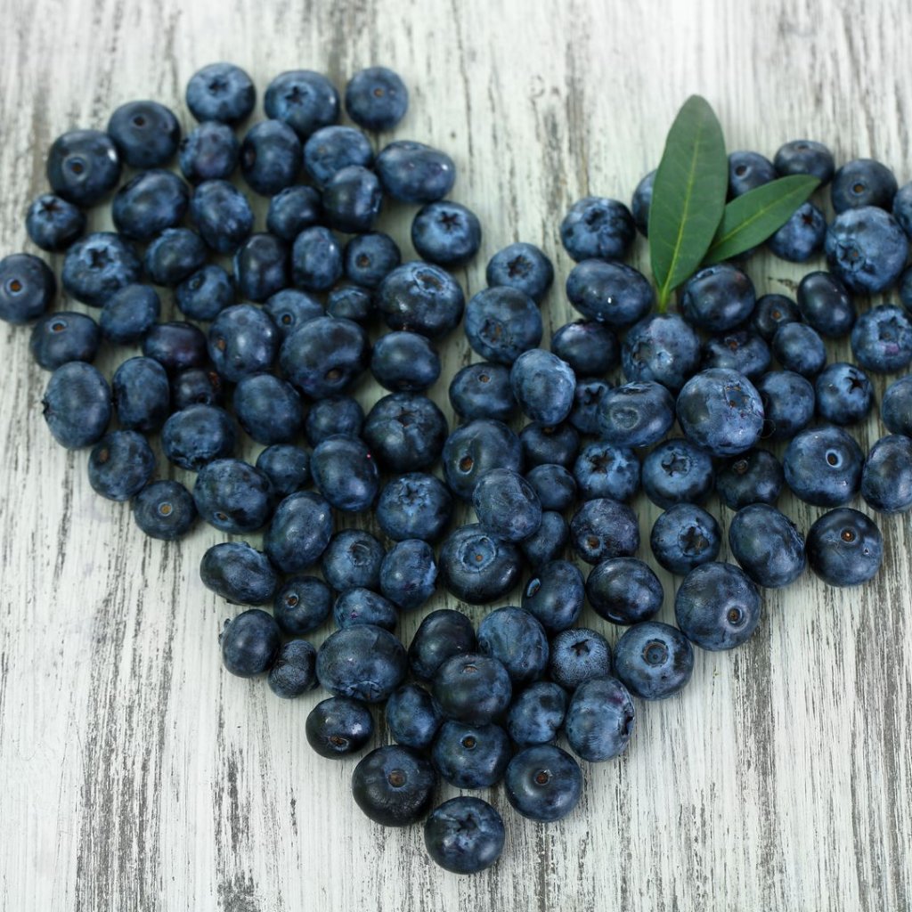 Blueberries, Cultivated – Gimli Fish Market
