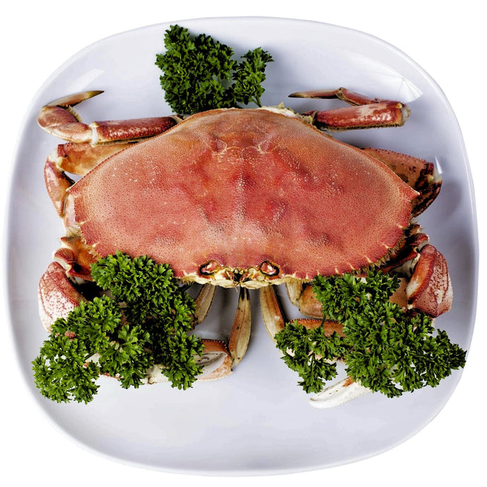dungeness crab whole 600 grams to 1 kilogram frozen