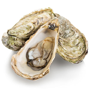 Oyster, Fresh (1 pce) – Gimli Fish Market
