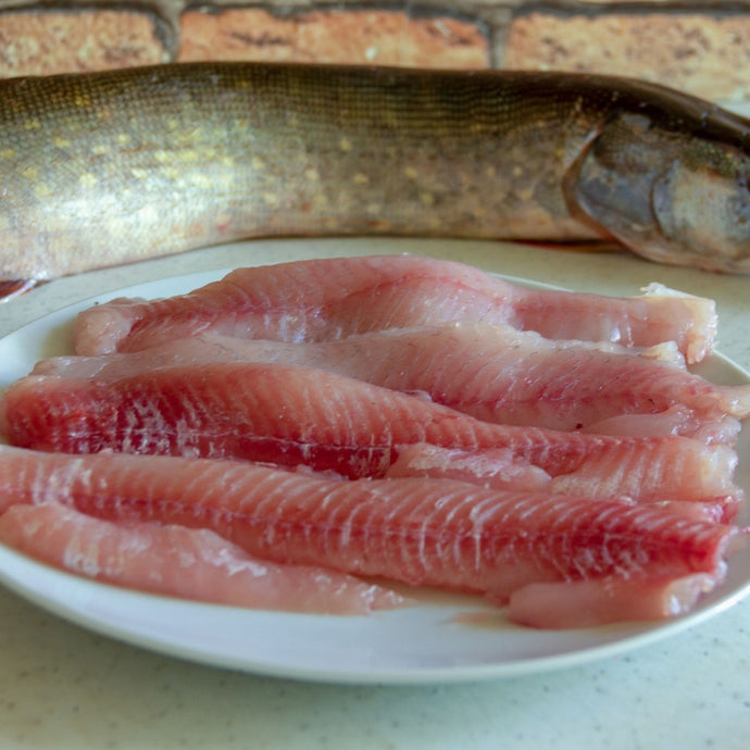 pike fillets jack fish northern pike 454 grams