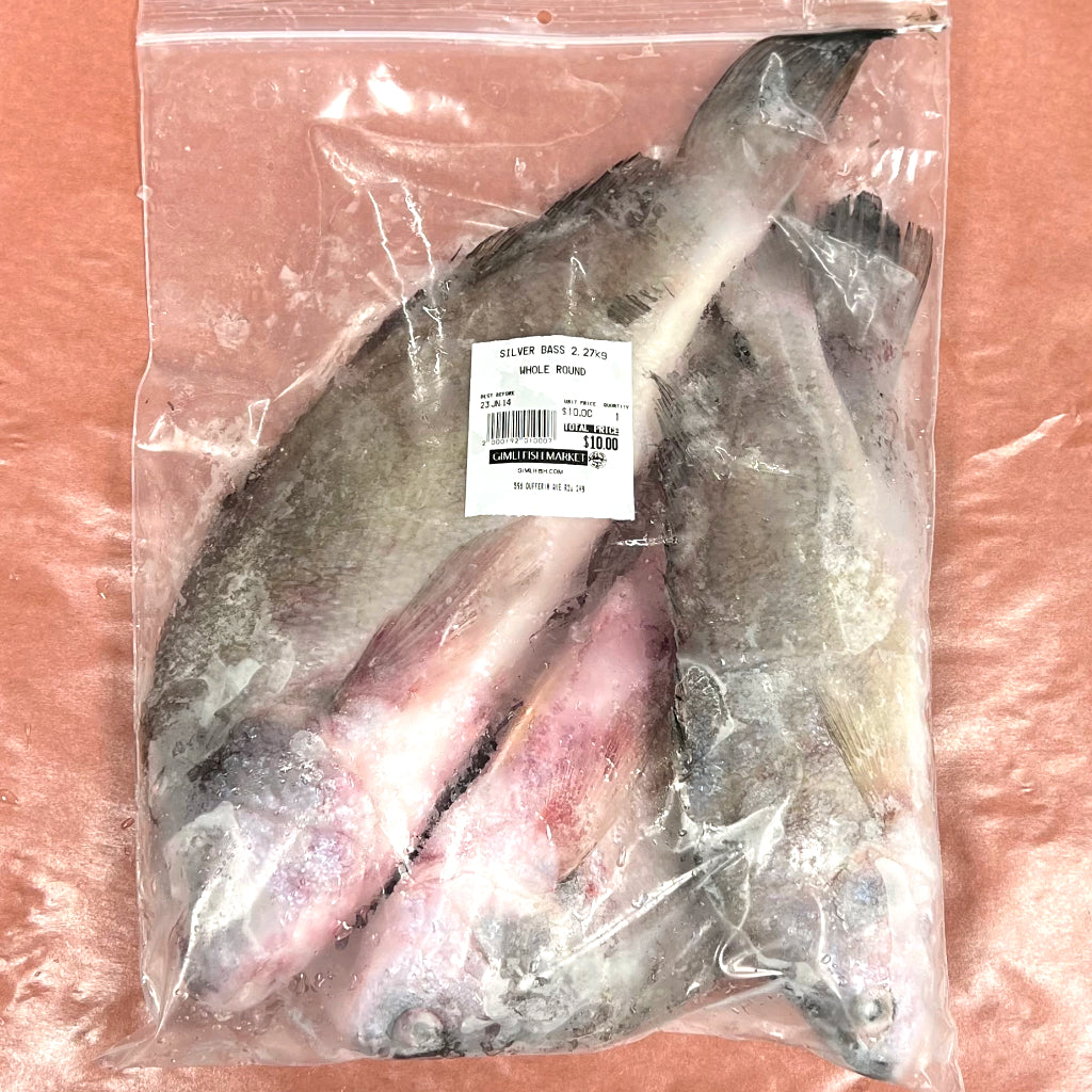 Silver Bass, Whole – Gimli Fish Market