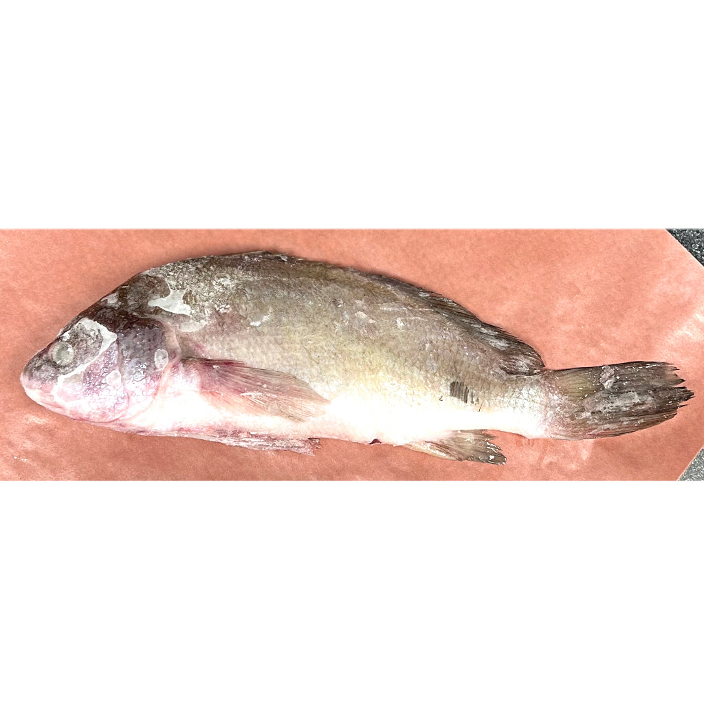 silver bass sunfish five pounds 2.27 kilograms frozen whole round