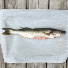 pickerel whole cleaned scaled 450-750 grams fresh 